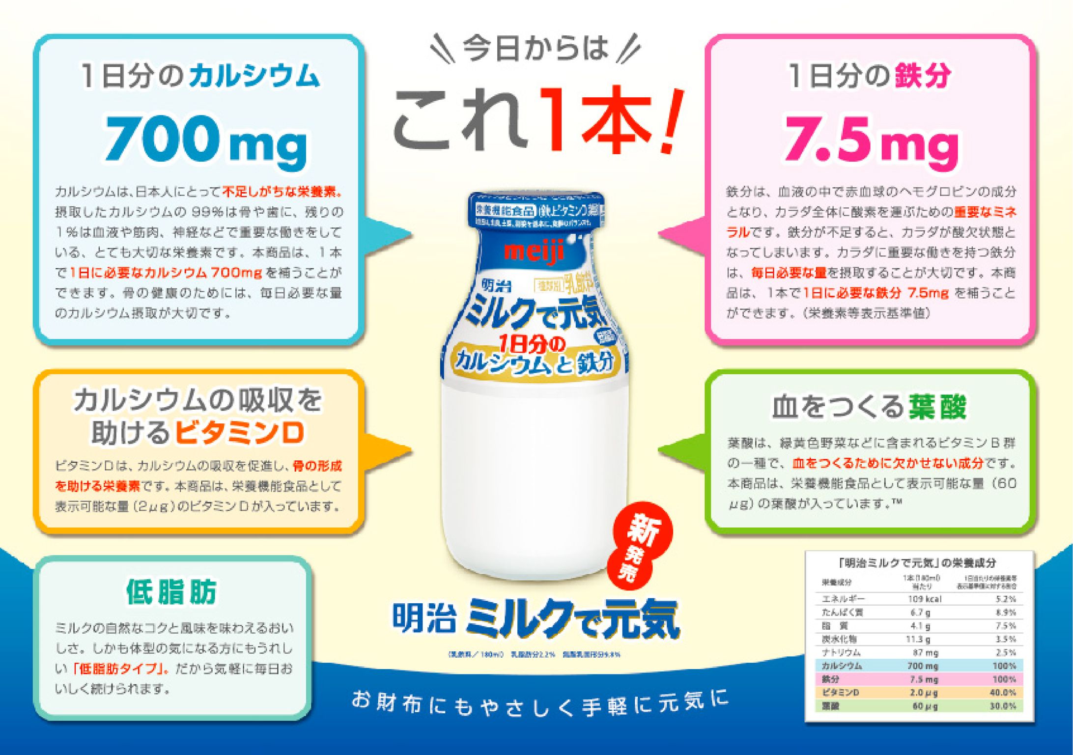 チラシデザイン-1