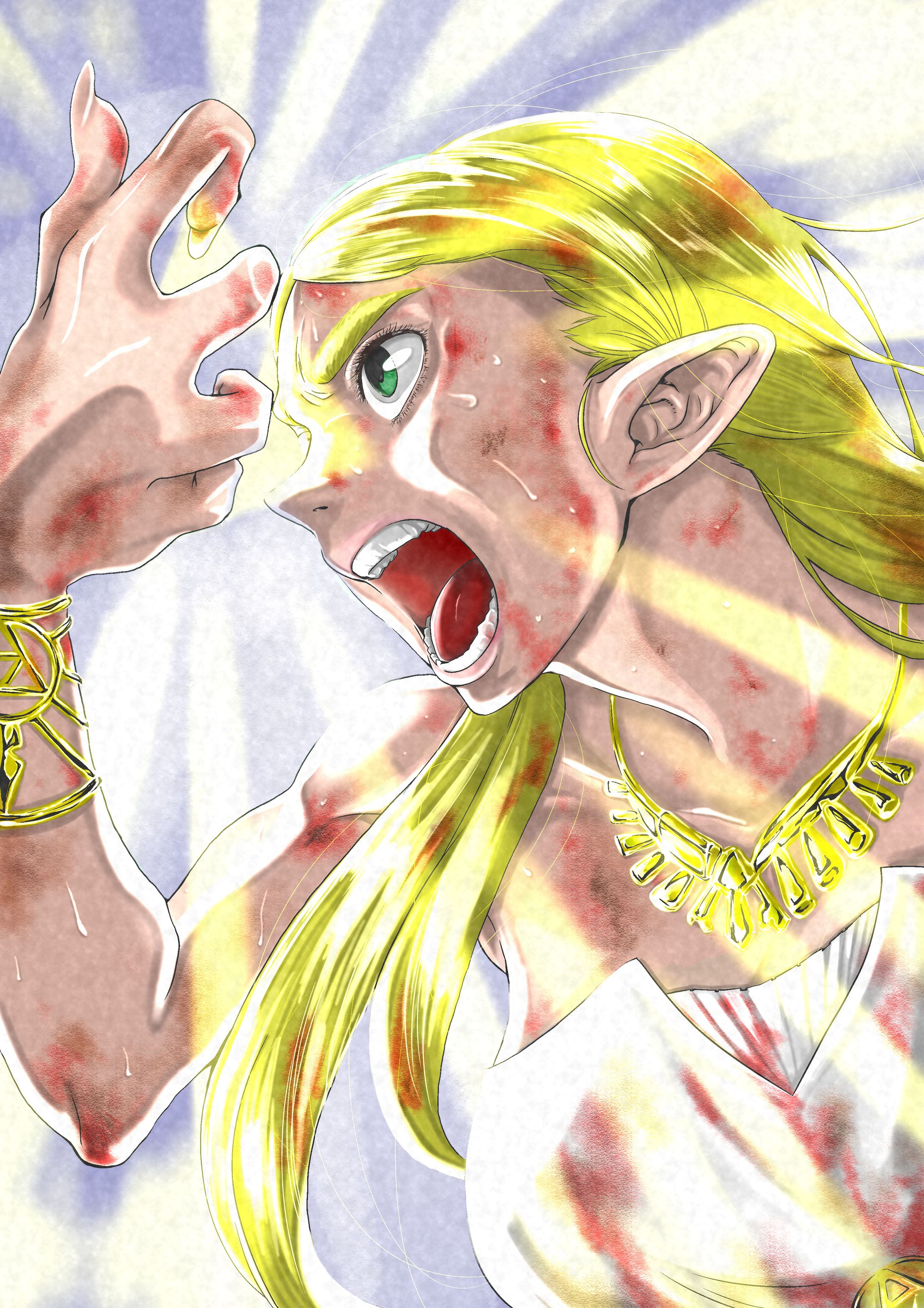 ゼルダ姫-1