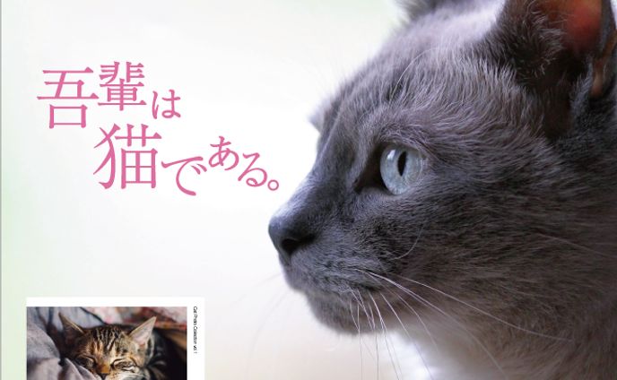 プログラマー、印刷