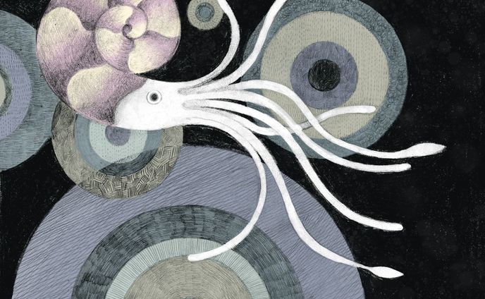 アンモナイトの歌