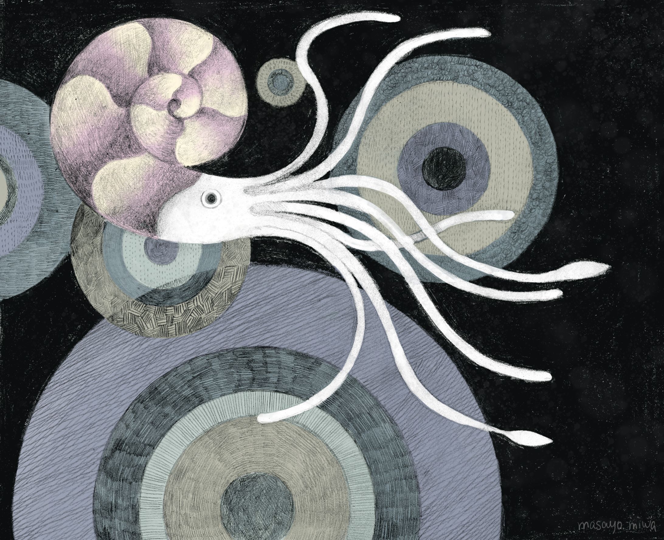 アンモナイトの歌-1