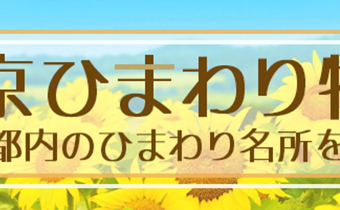 東京ひまわり特集
