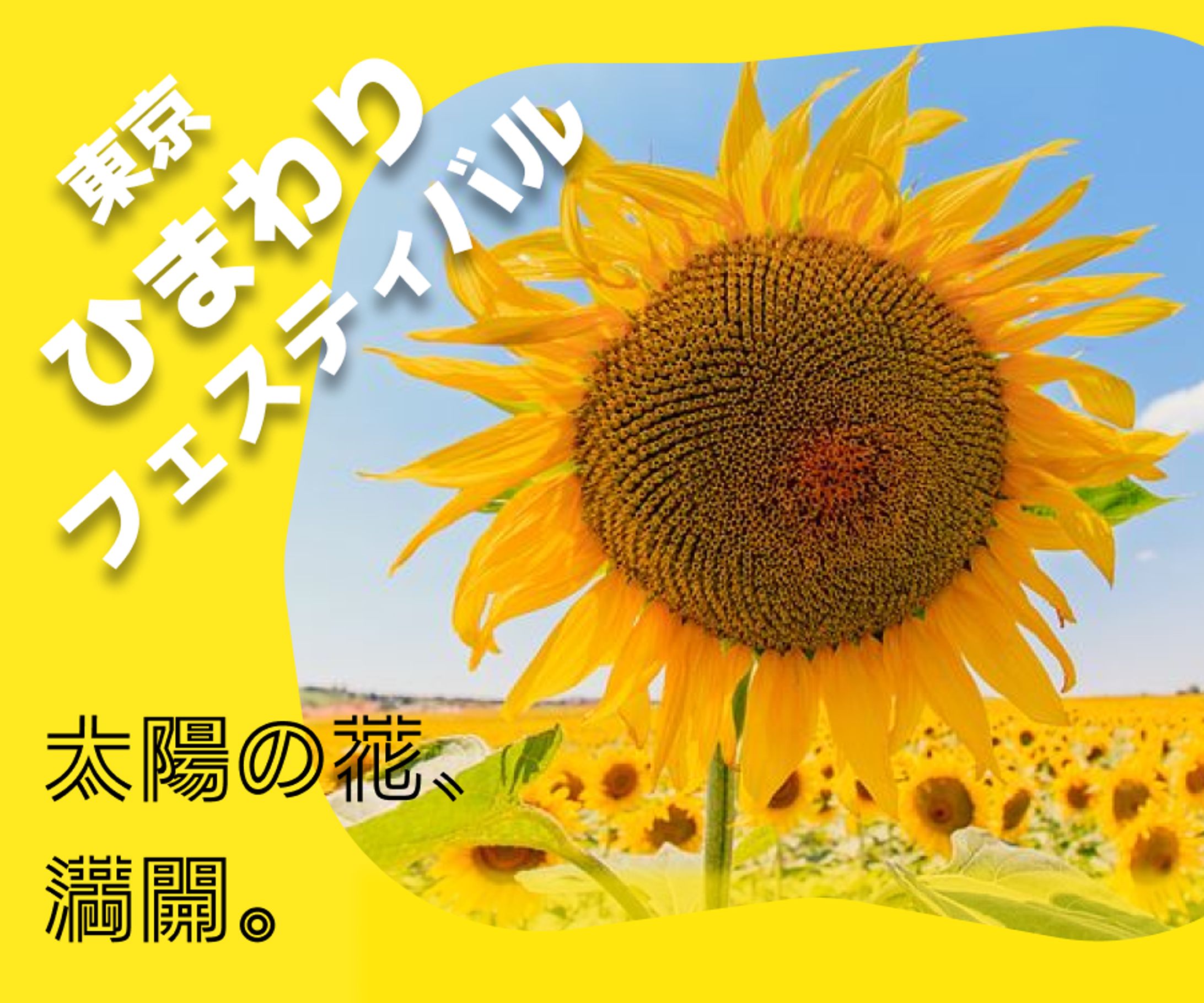 バナー-1