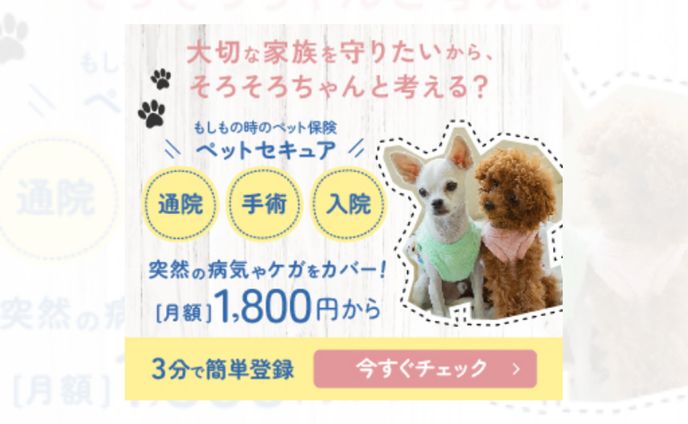 デザイナー、program
