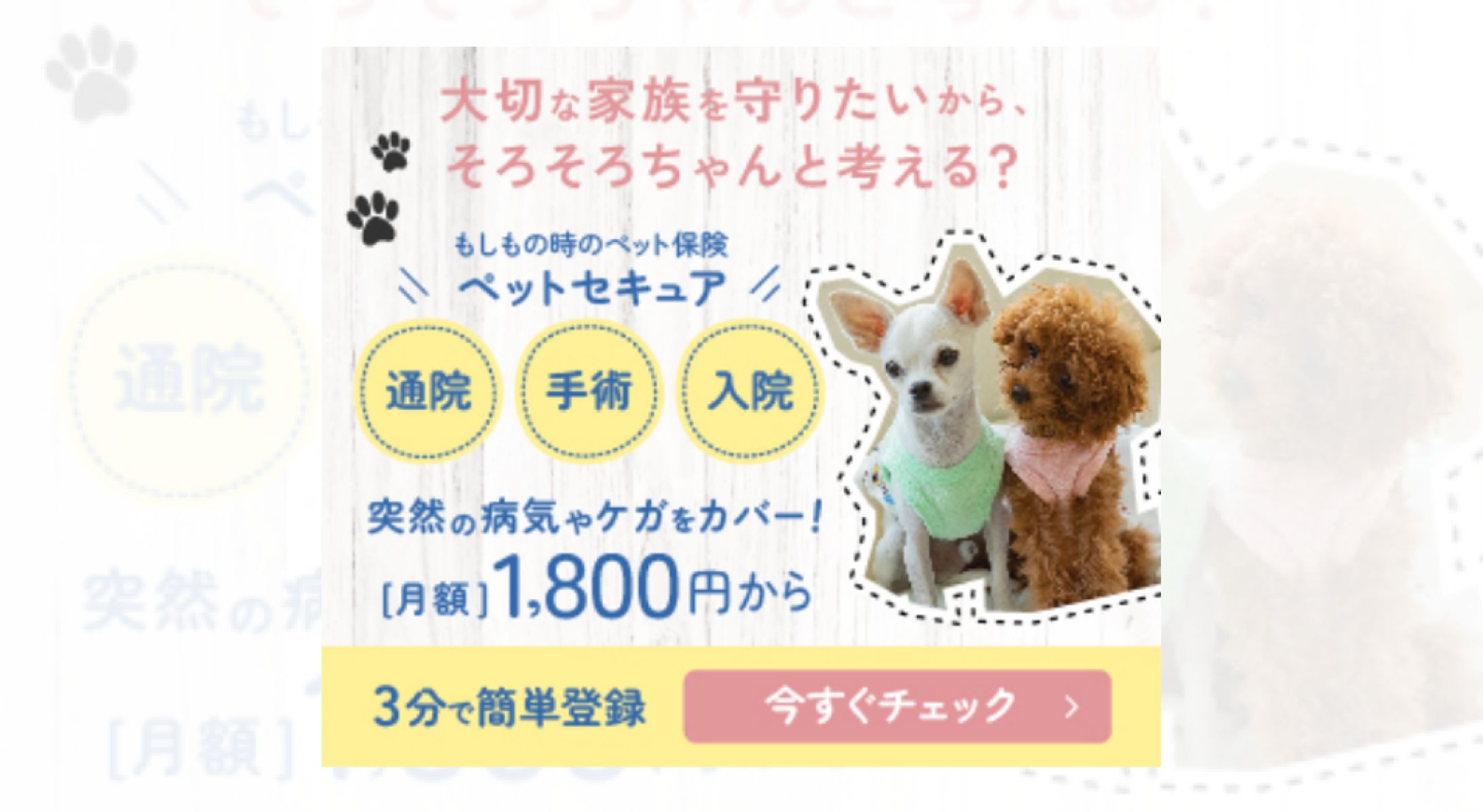 【バナー】ペット保険-1