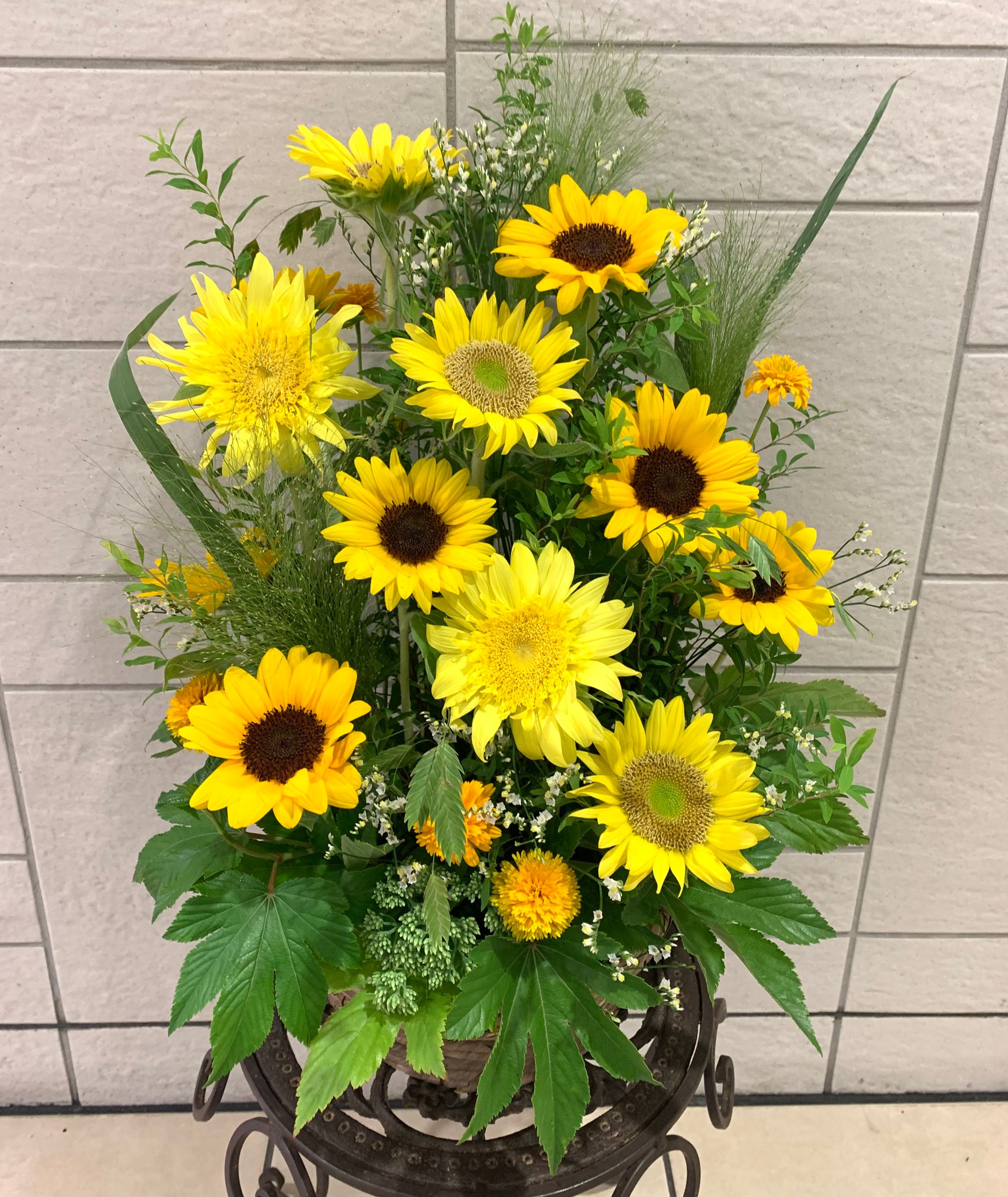 Arrangement-1