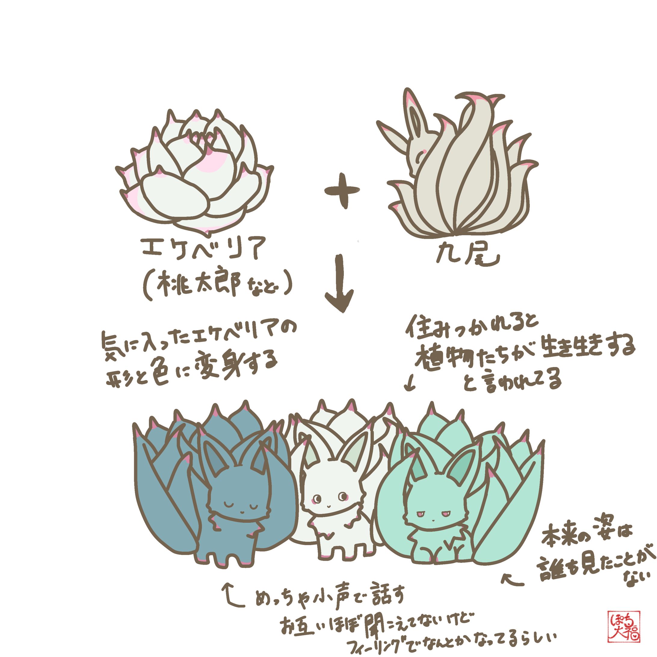 エケベリア×九尾-1