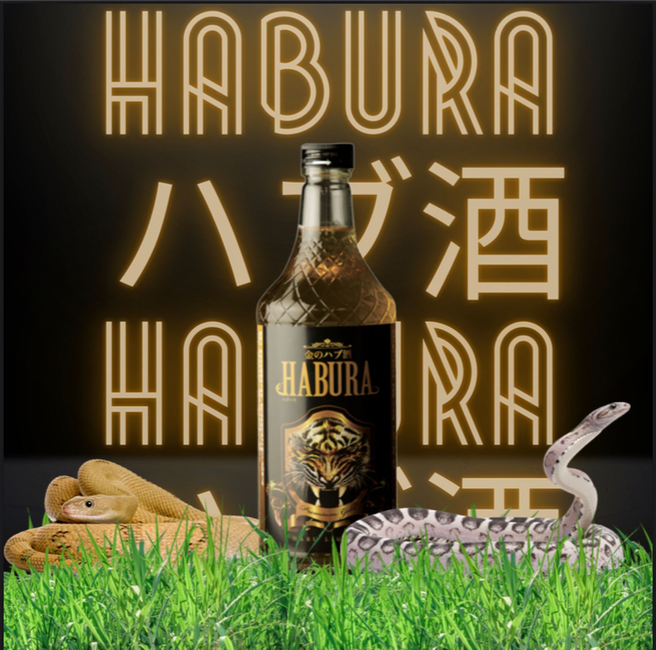 Habra IG content -1