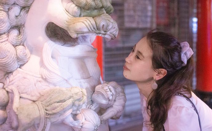 🇨🇳Chinese Towon📍Hyogo, Japan