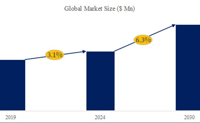補正下着調査レポート：市場規模、シェア、産業分析データ、最新動向2024-2030