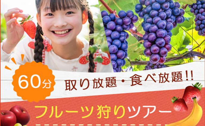 バナー：フルーツ狩りツアー
