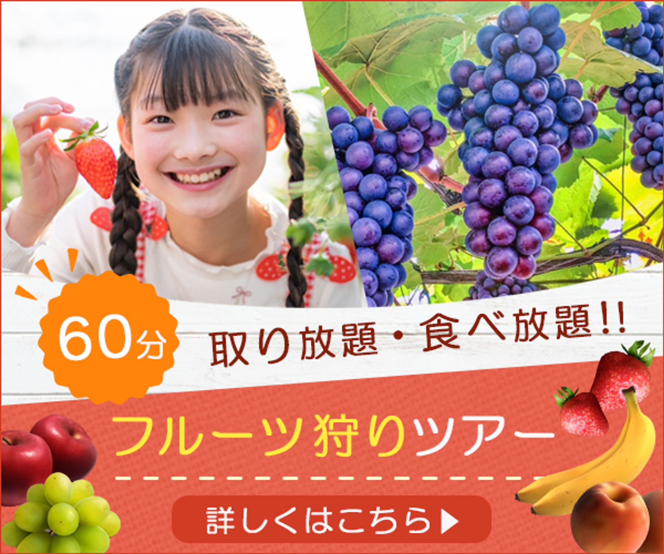 バナー：フルーツ狩りツアー-1