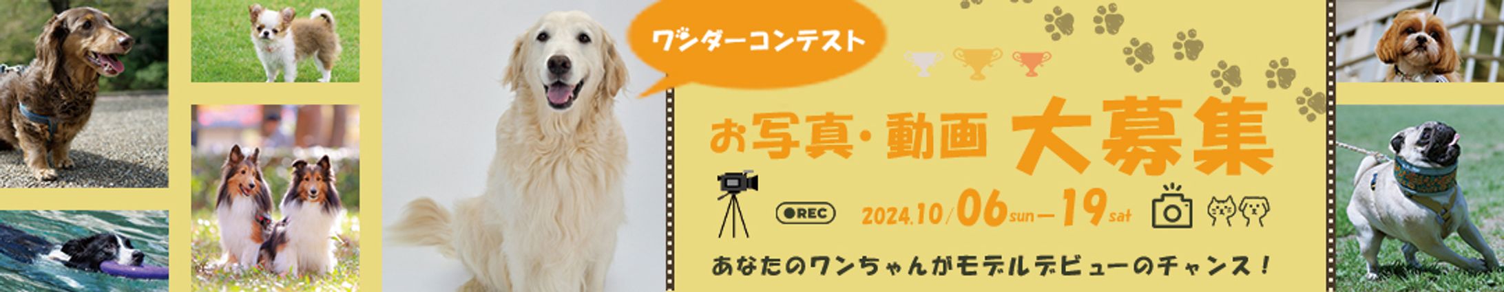 犬　フォトコンテスト バナー-1