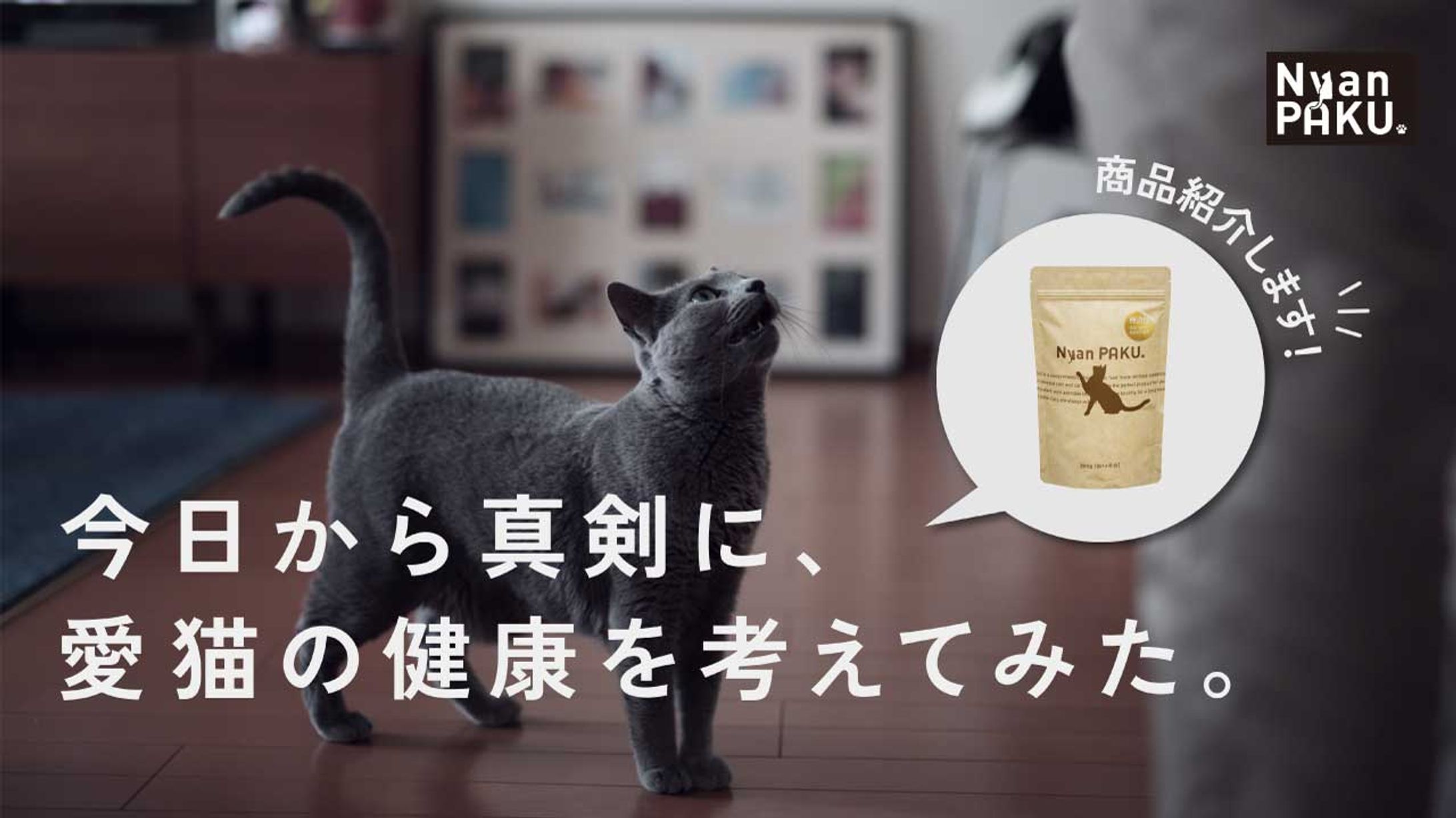 キャットフード紹介サムネイル-1