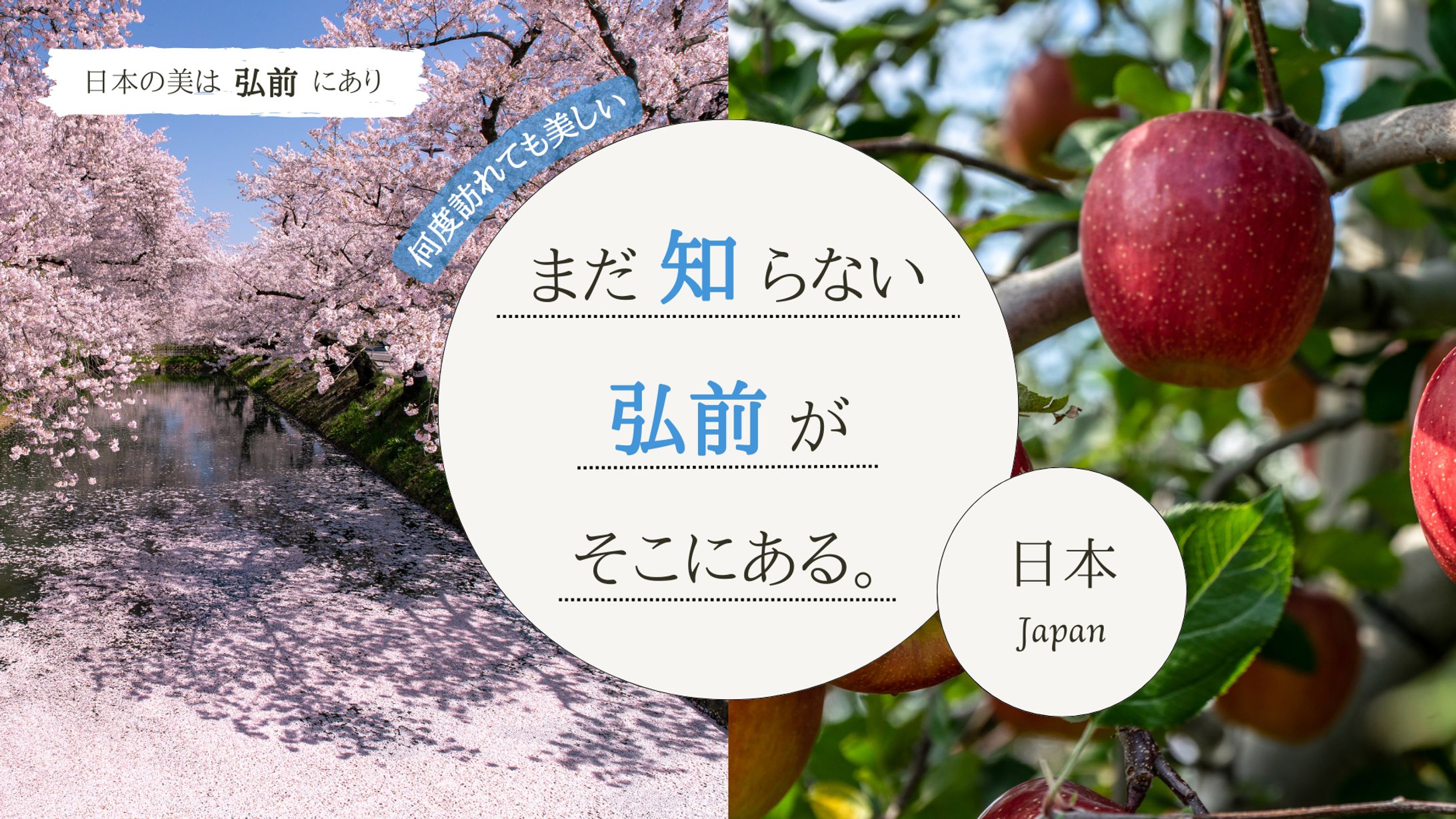 地域紹介バナー-1