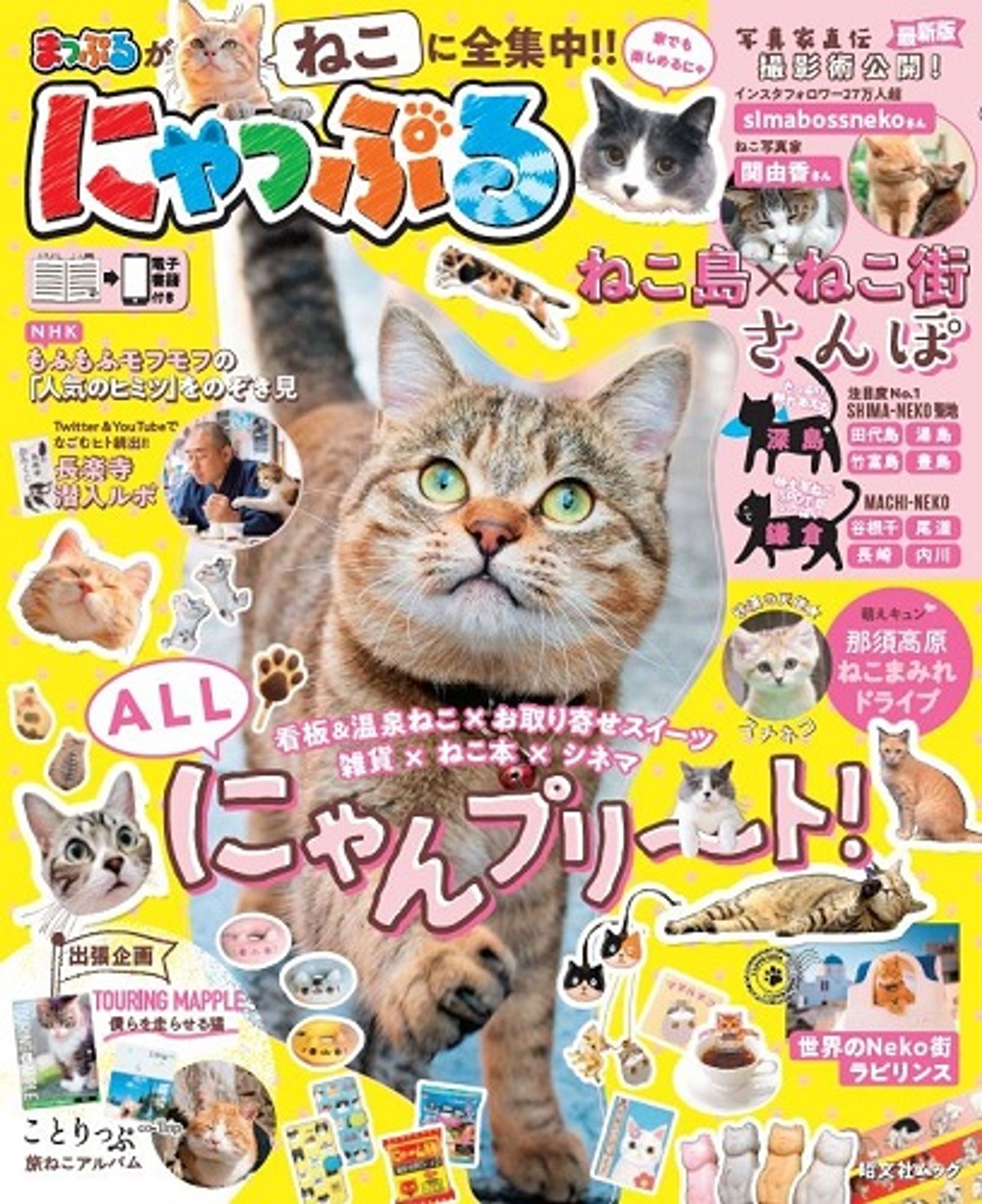 Magazine：Nyapple / にゃっぷる 1-1