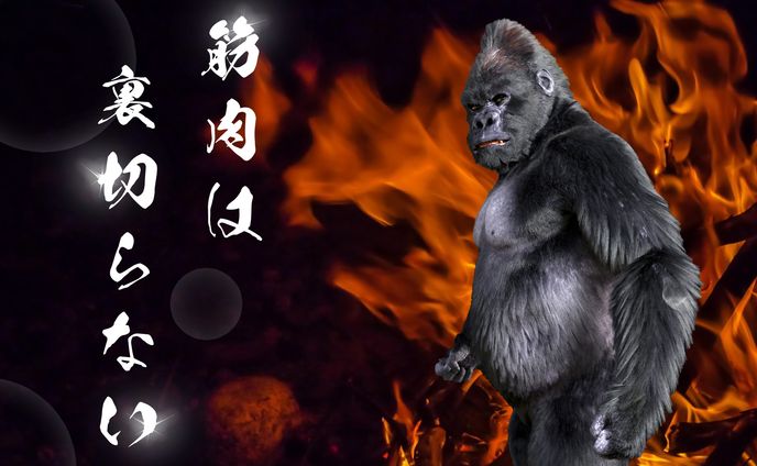 筋肉