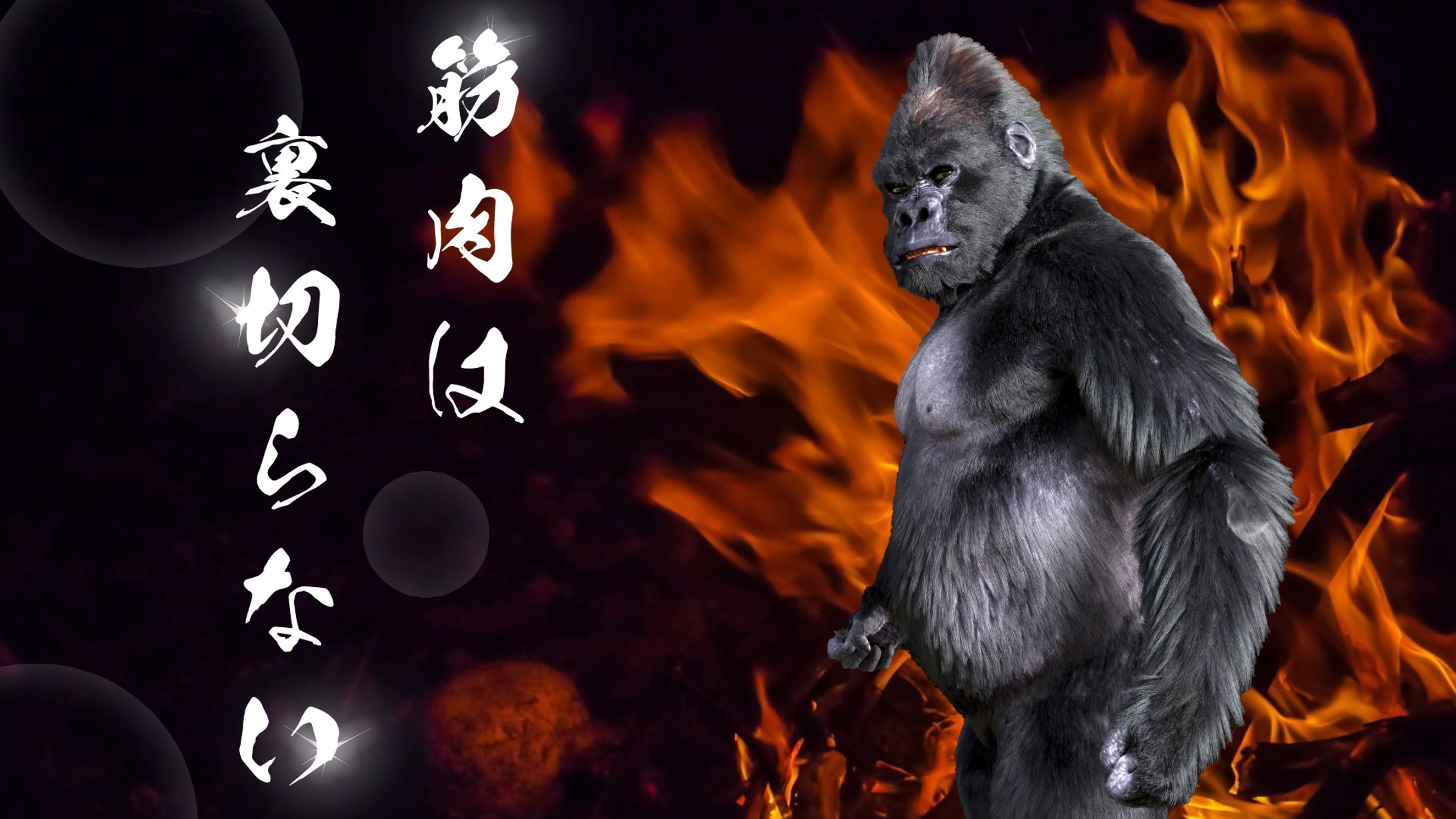 筋肉-1