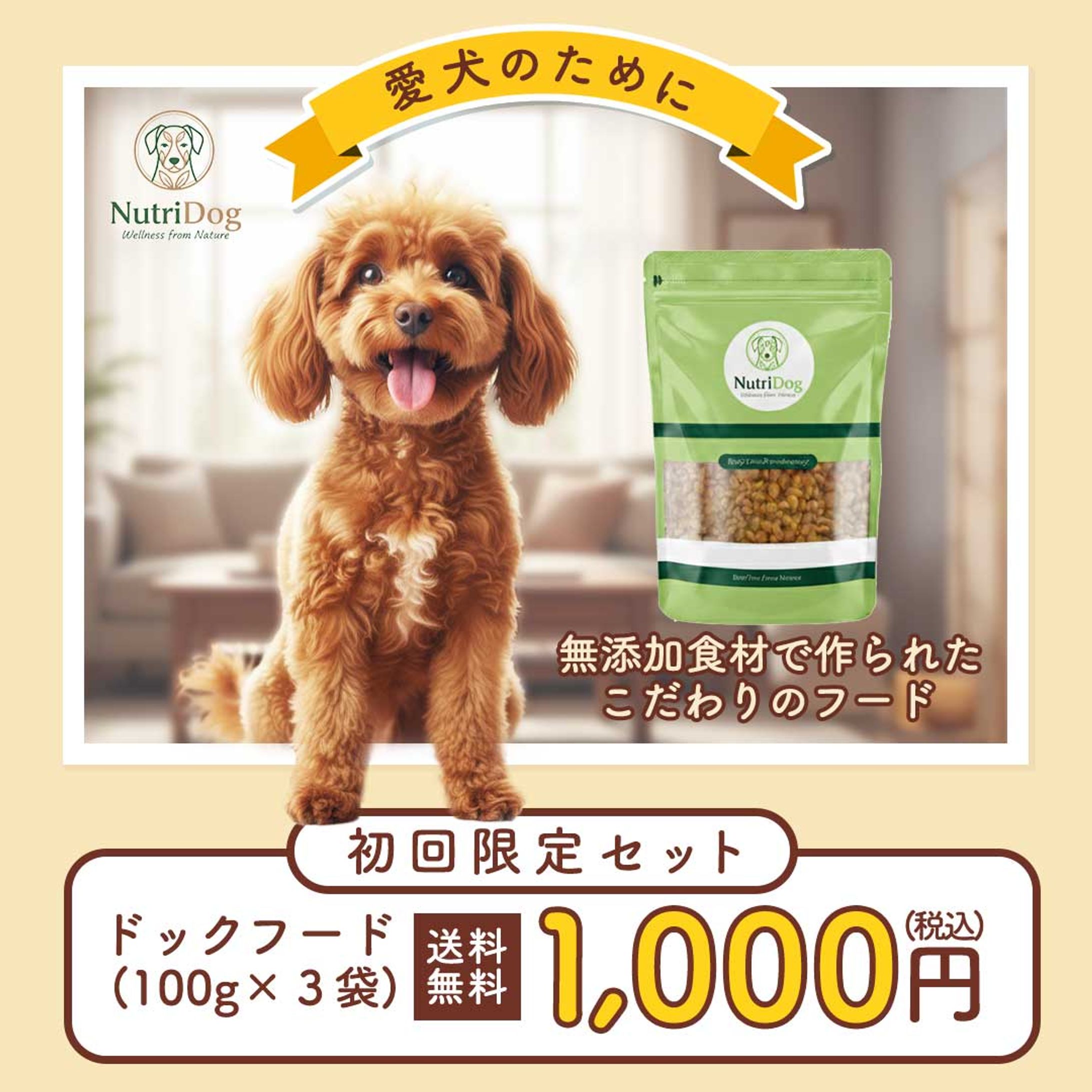 バナー：ドックフード-1