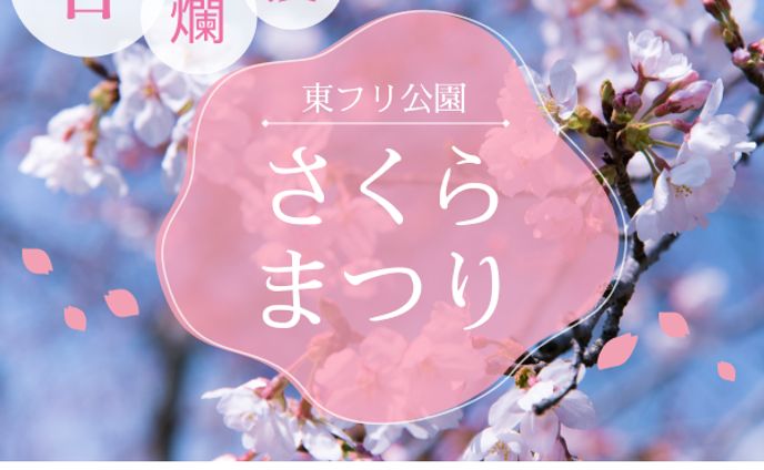 バナー、小鳥遊ホシノ(ブルアカ)