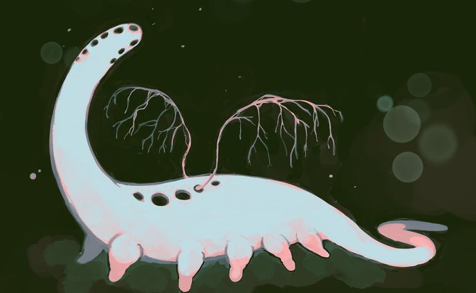 海の生き物、woman