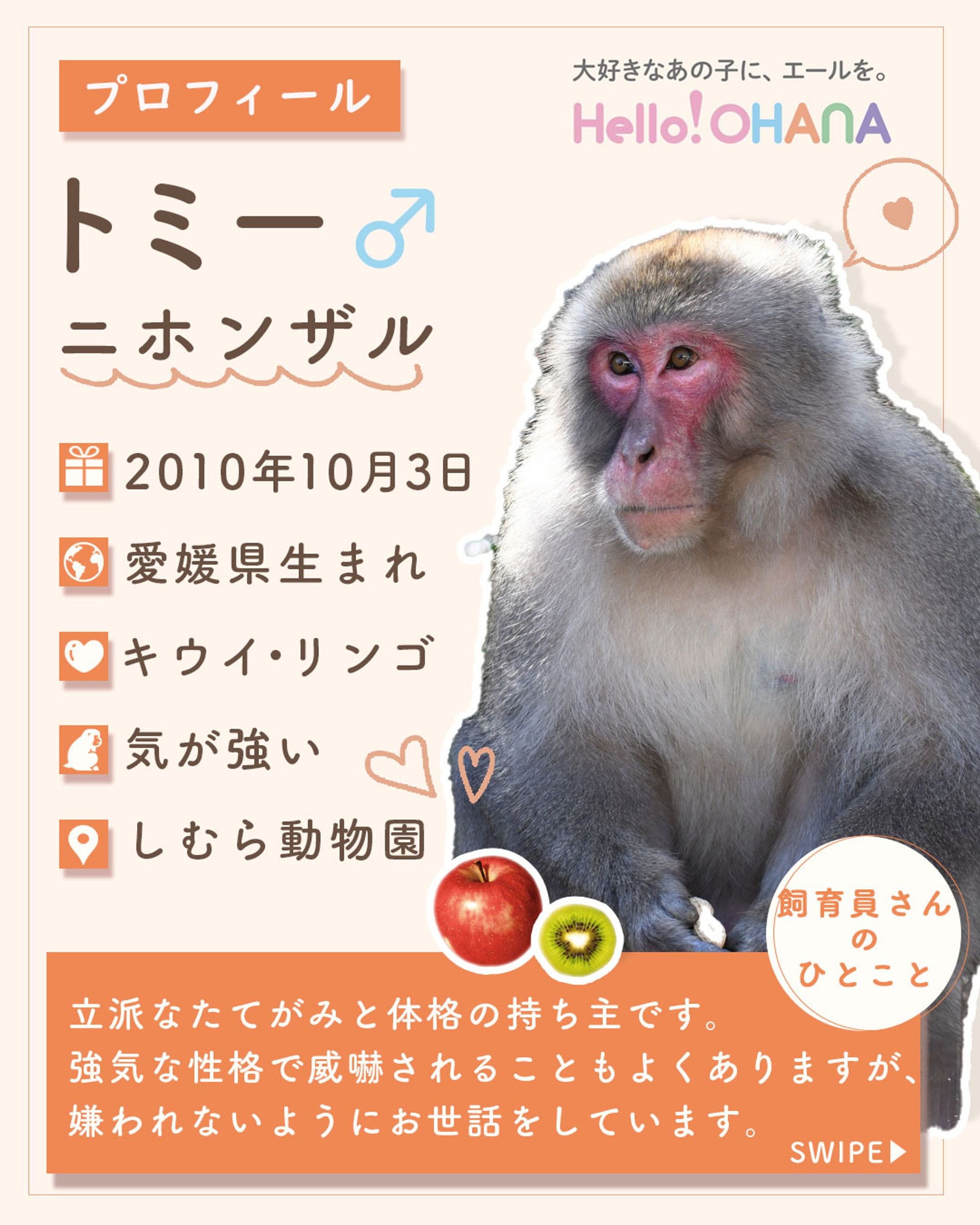 動物園バナー-1