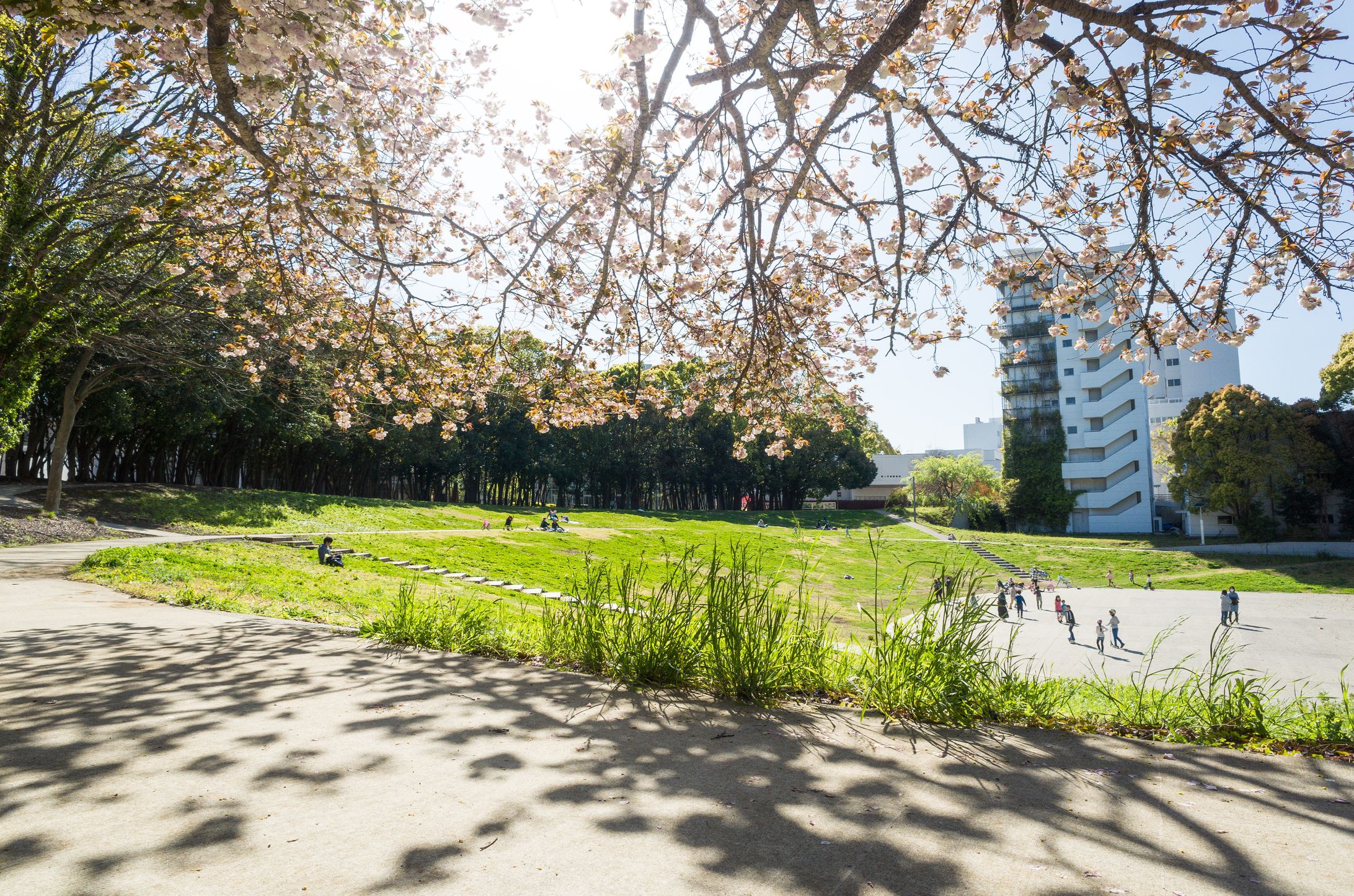 【Instagram投稿】横浜国立大学野外音楽堂-1