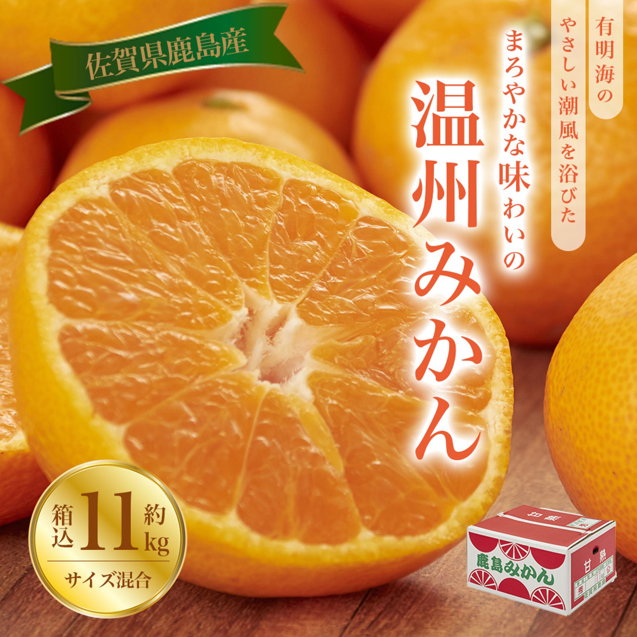 みかんサムネイル-1