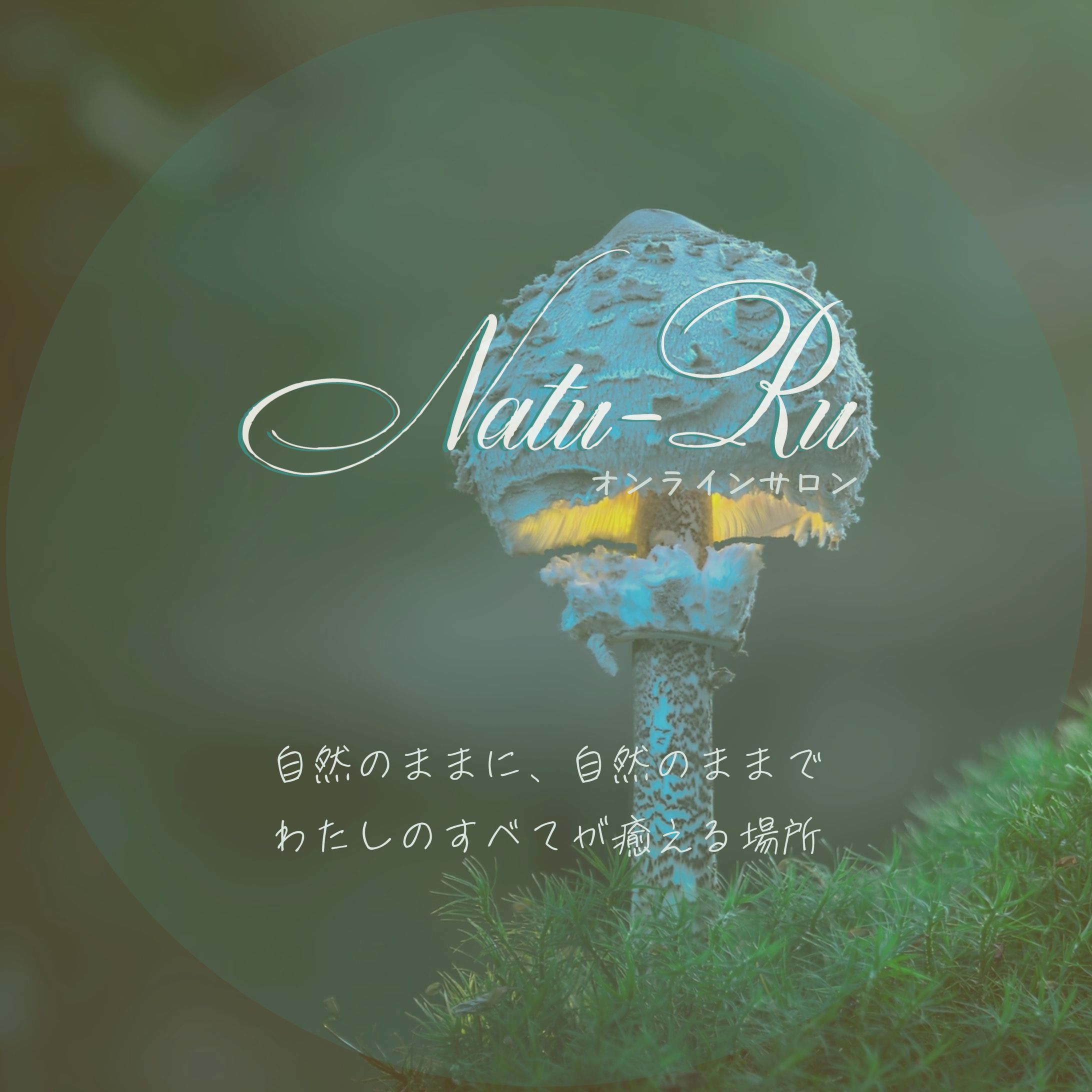 HPヘッダー画像-1