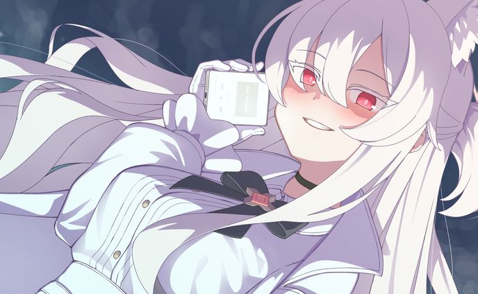 慈愛の怪盗