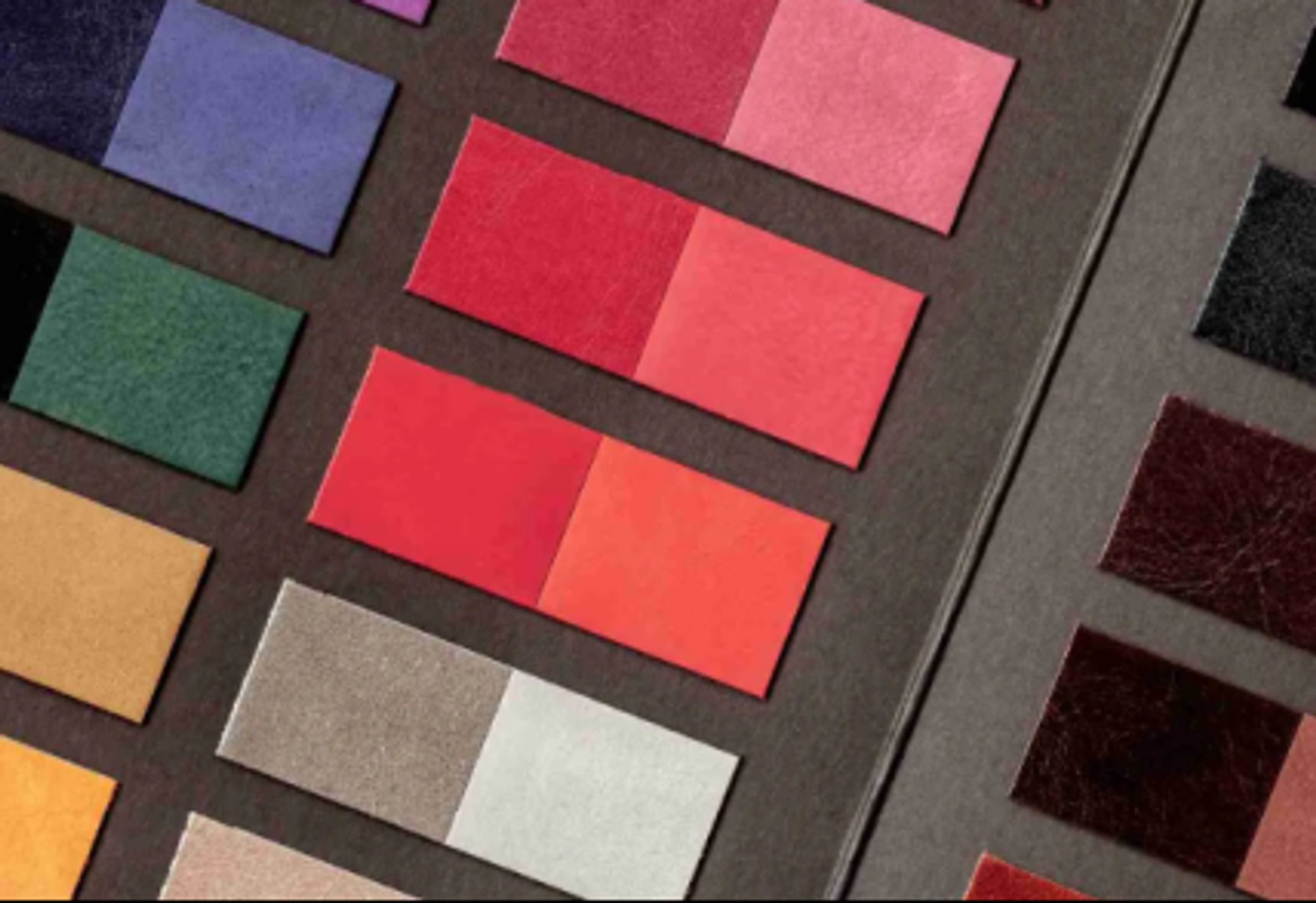 革用の染料業界の競合環境分析2026：主要メーカーの戦略、ランキング、優位性-1