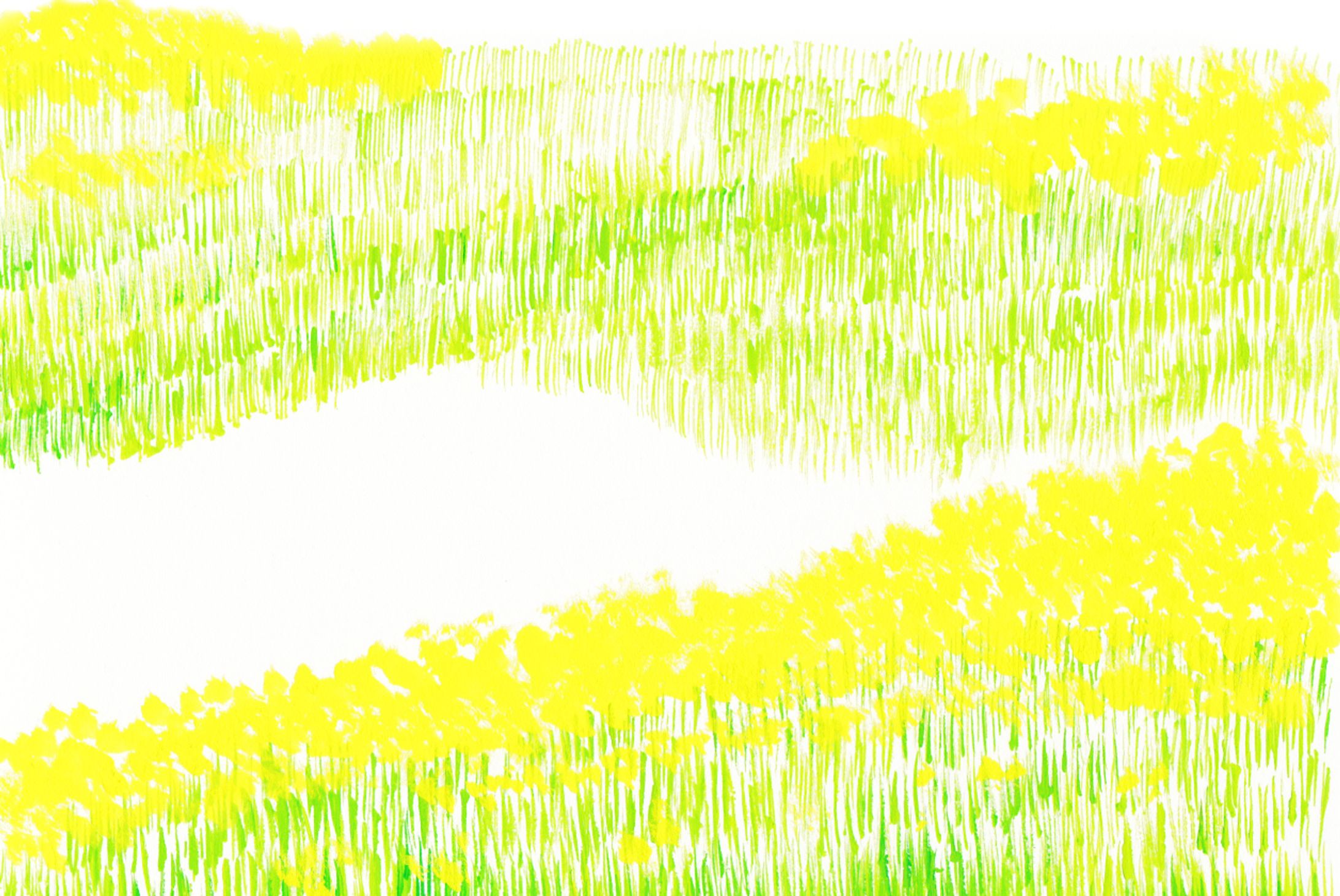 ポストカード　菜の花畑-1