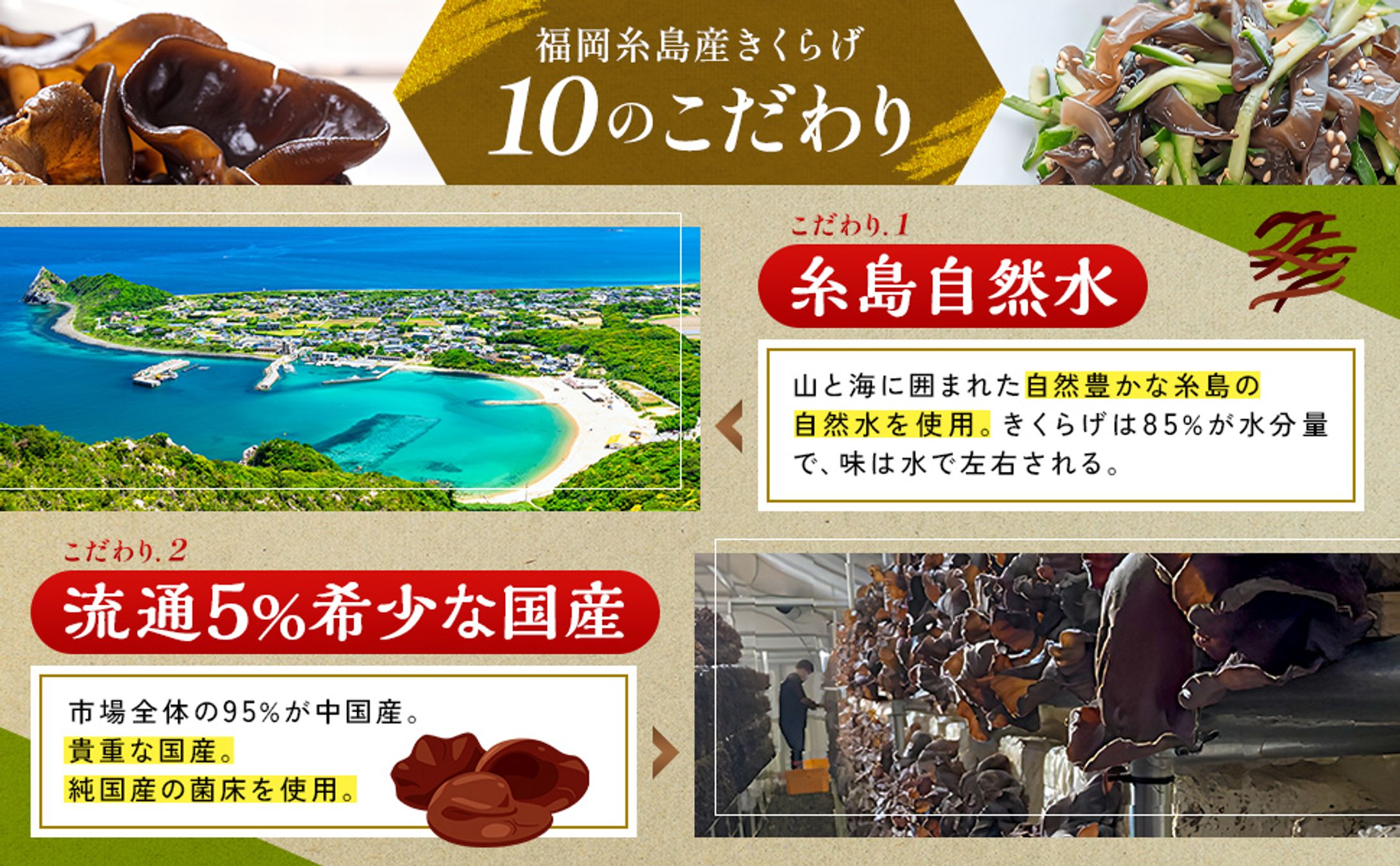 Amazon用商品画像[乾燥スライスきくらげ]+A-1