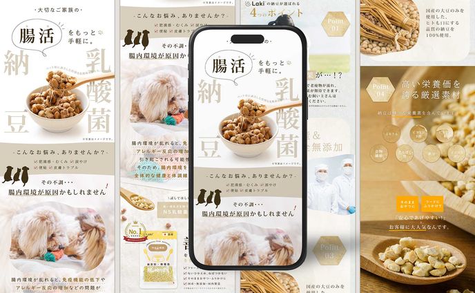 納豆乳酸菌 商品ページ制作