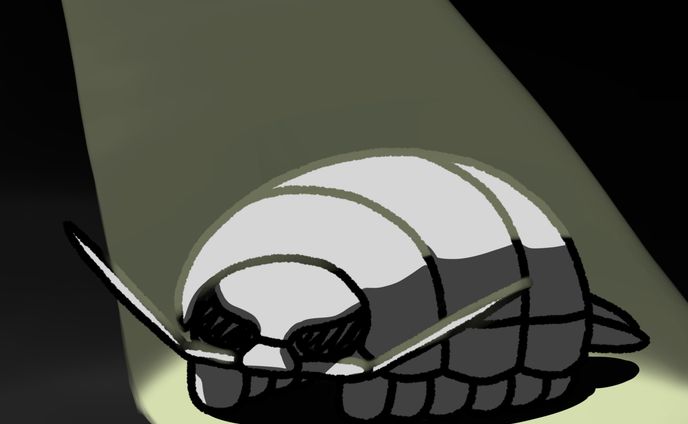 ダイオウグソクムシくん