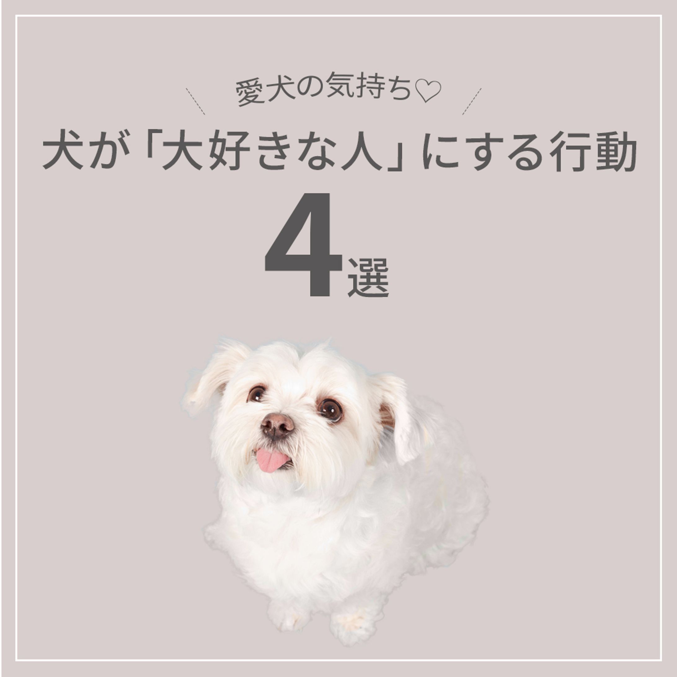 ドッグコラム-1