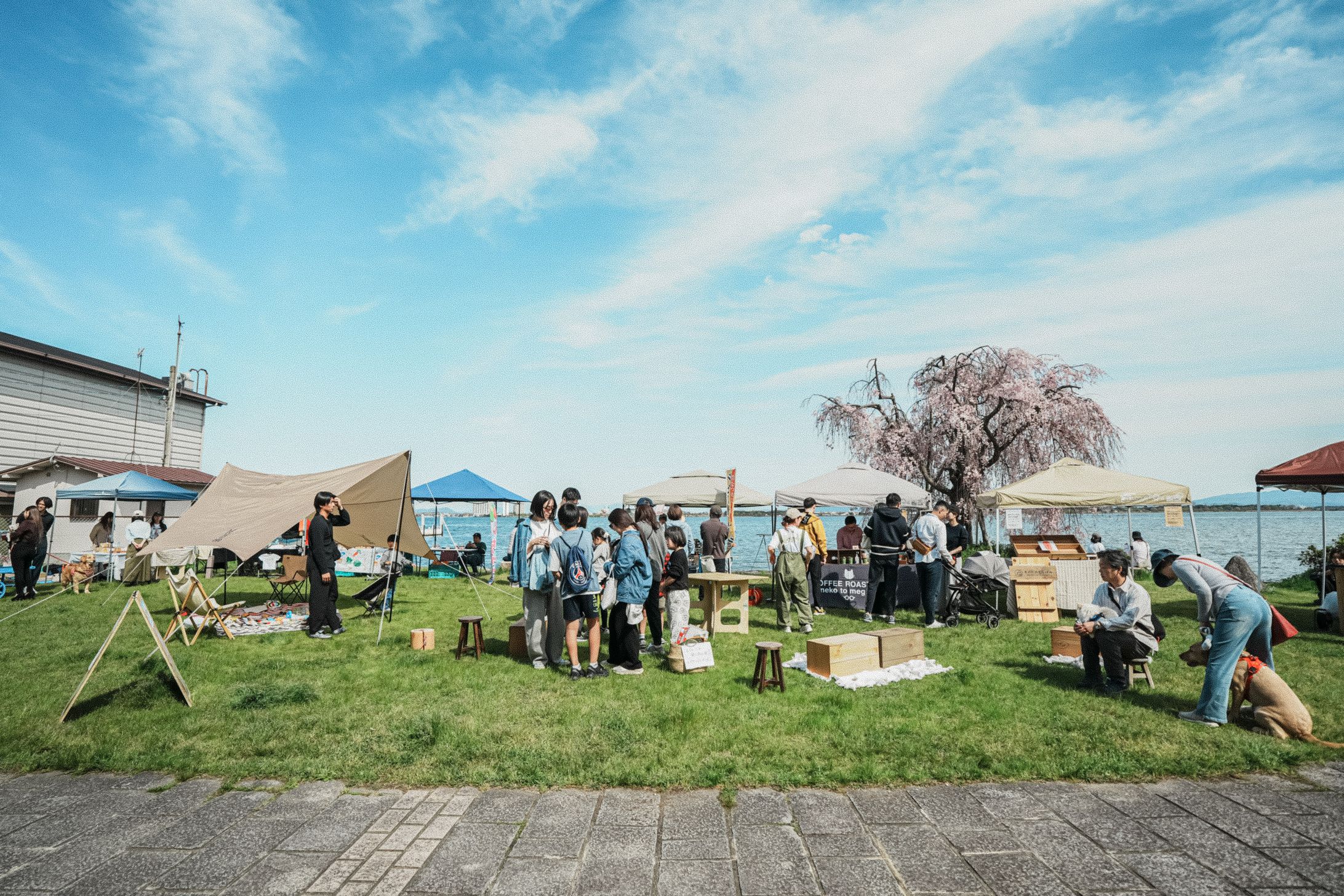 マルシェイベント撮影-1