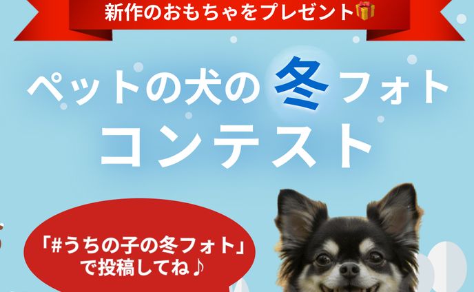 冬のフォトコンテストバナー