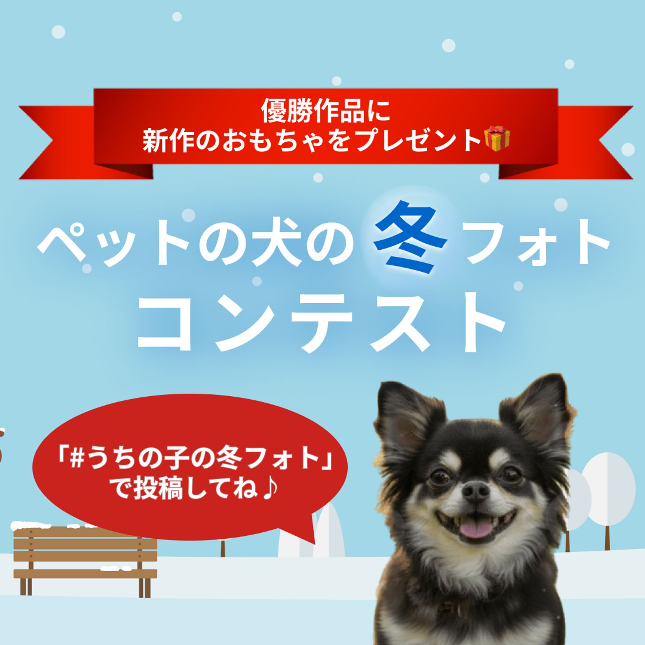 冬のフォトコンテストバナー-1