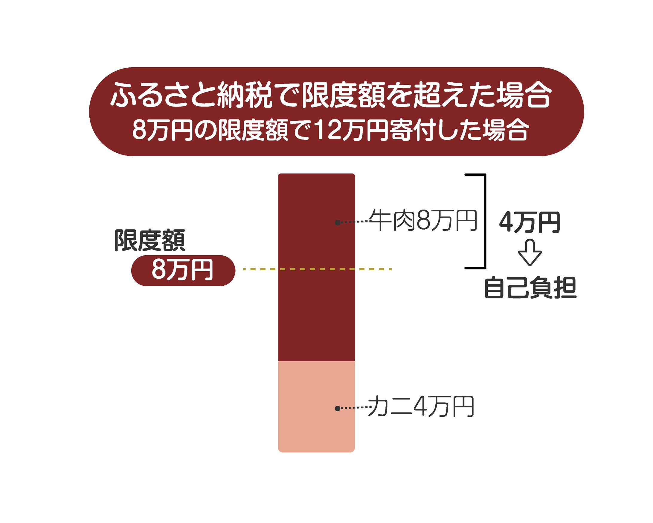 『ふるさと納税資料画像』-1