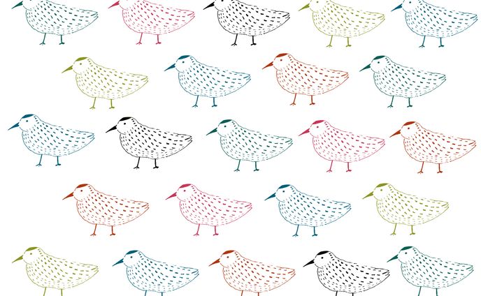 鳥の子の色 2018/10/04