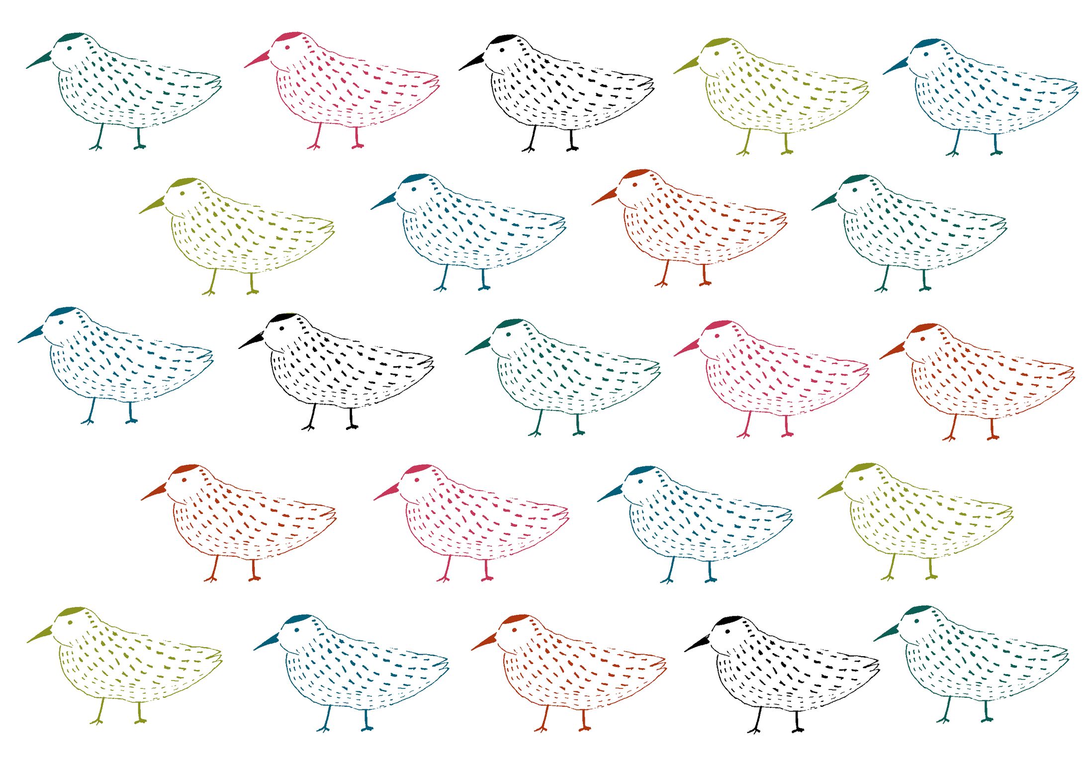 鳥の子の色 2018/10/04-1