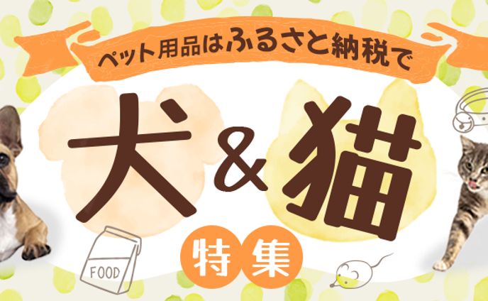コンペ提案：ふるさと納税