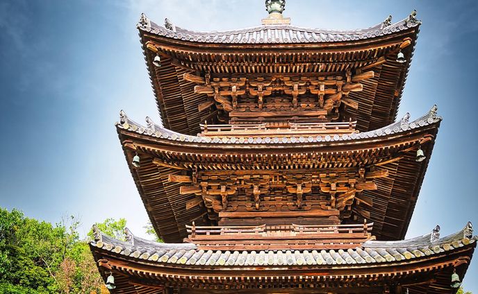 #如意寺 

・
・
・
・
・
・
・

LOCATION：如意寺
CAMERA：SONY a7Ⅳ
LENS： SONY FE24-70 F2.8GM
FE：40mm
ISO：50
F値：f2.8
SS：1/640

撮影のご依頼はお気軽にDM下さい

#takumapictures 
#タクマピクチャーズ 
#お寺 
#お寺巡り 
#お寺好きな人と繋がりたい 
#お寺好き 
#写真好きな人と繋がりたい 
#カメラ好きな人と繋がりたい 
#アニメのワンシーンのように 
#カメラ男子 
#カメラ女子 
#写真で伝えたい私の世界 
#ファインダー越しの私の世界 
#ファインダー越しの世界 

#japan #japantravel #japantrip #japanlife #japanphoto #japanstyle #japan_grate_view #japantravelphoto #japan_daytime_view