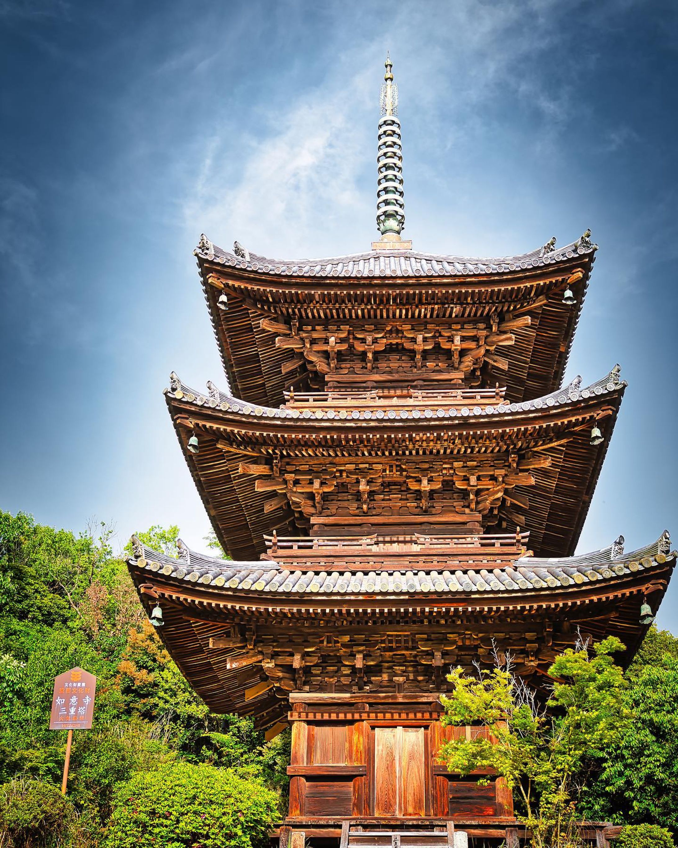 #如意寺 

・
・
・
・
・
・
・

LOCATION：如意寺
CAMERA：SONY a7Ⅳ
LENS： SONY FE24-70 F2.8GM
FE：40mm
ISO：50
F値：f2.8
SS：1/640

撮影のご依頼はお気軽にDM下さい

#takumapictures 
#タクマピクチャーズ 
#お寺 
#お寺巡り 
#お寺好きな人と繋がりたい 
#お寺好き 
#写真好きな人と繋がりたい 
#カメラ好きな人と繋がりたい 
#アニメのワンシーンのように 
#カメラ男子 
#カメラ女子 
#写真で伝えたい私の世界 
#ファインダー越しの私の世界 
#ファインダー越しの世界 

#japan #japantravel #japantrip #japanlife #japanphoto #japanstyle #japan_grate_view #japantravelphoto #japan_daytime_view-1