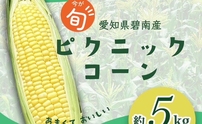 バナー、web画像