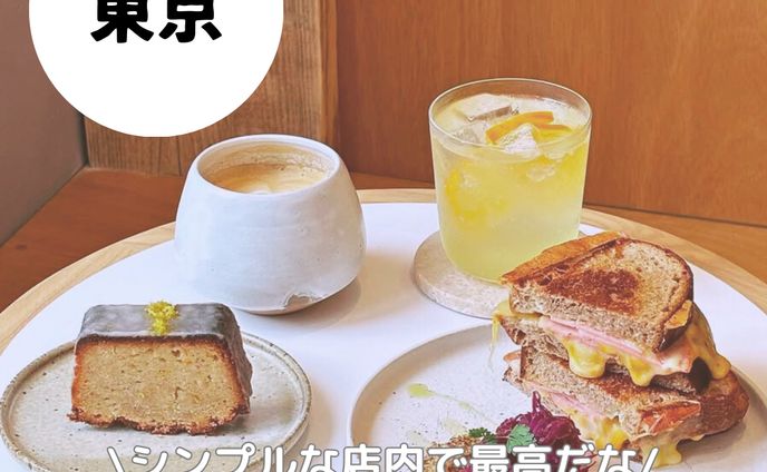 フィード投稿