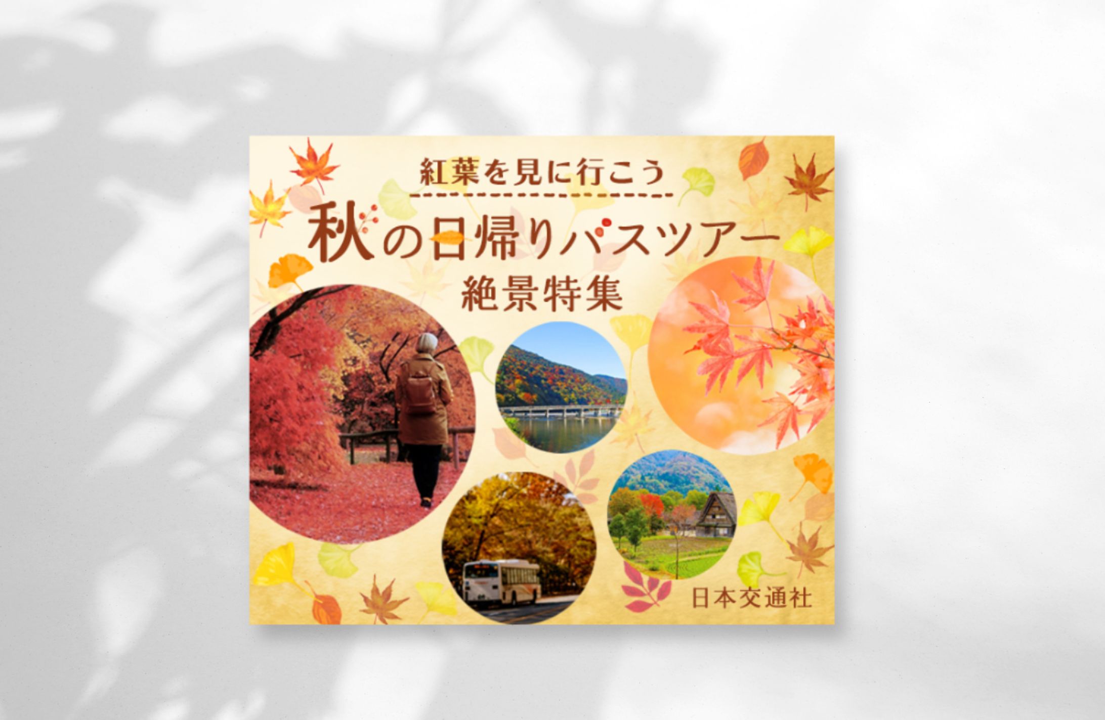 【バナー画像】紅葉バスツアー-1