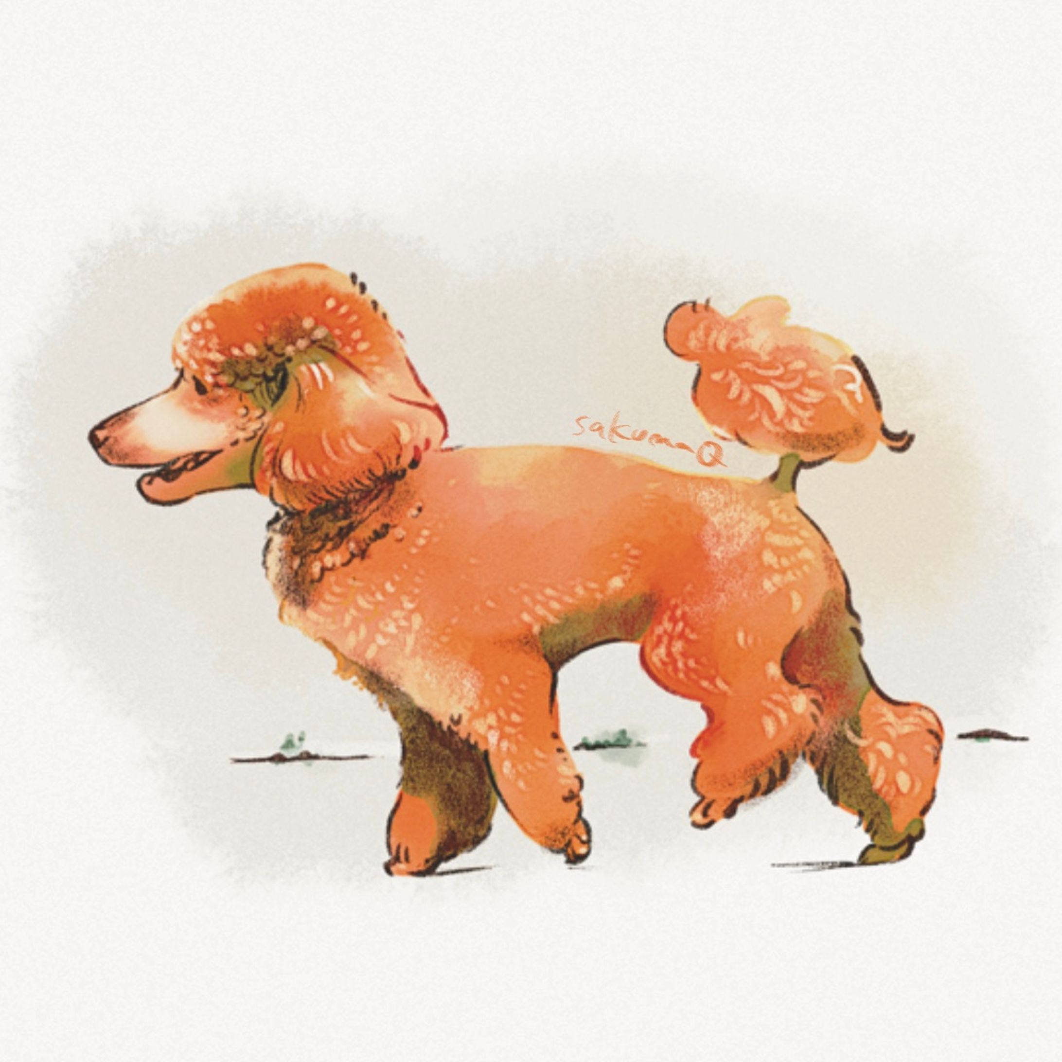 poodle-1