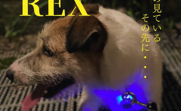 Canva/雑誌風デザイン（3）